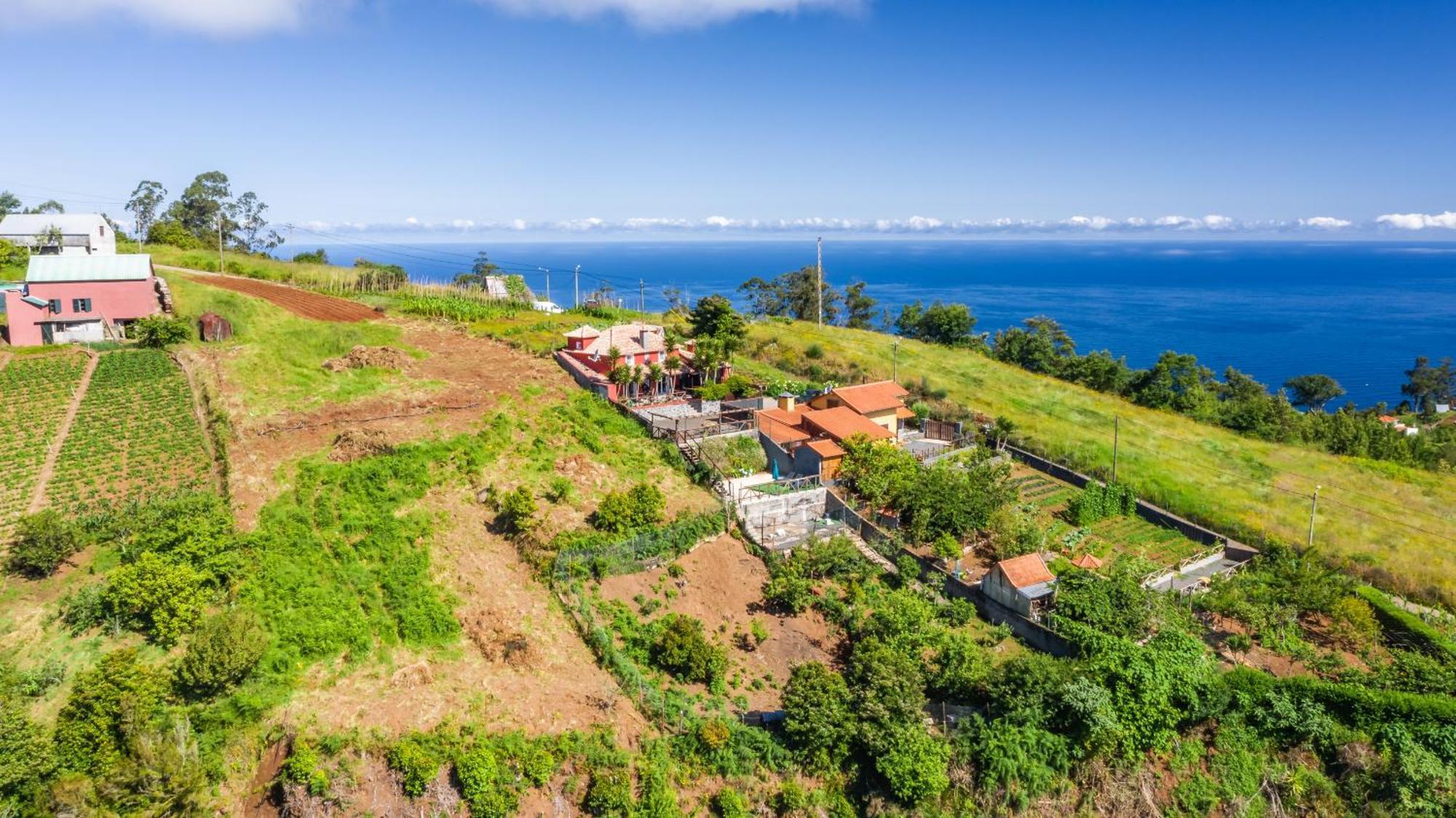 Sao Jorge - By Wehost *