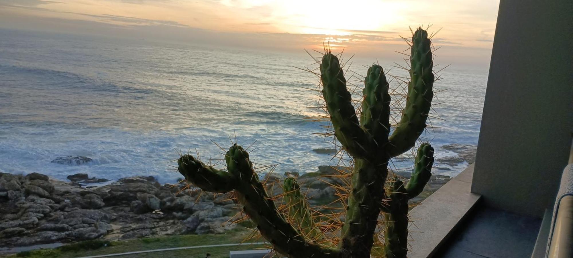Apartamento Matosinhos -seas Apartment- Cabo Mares *