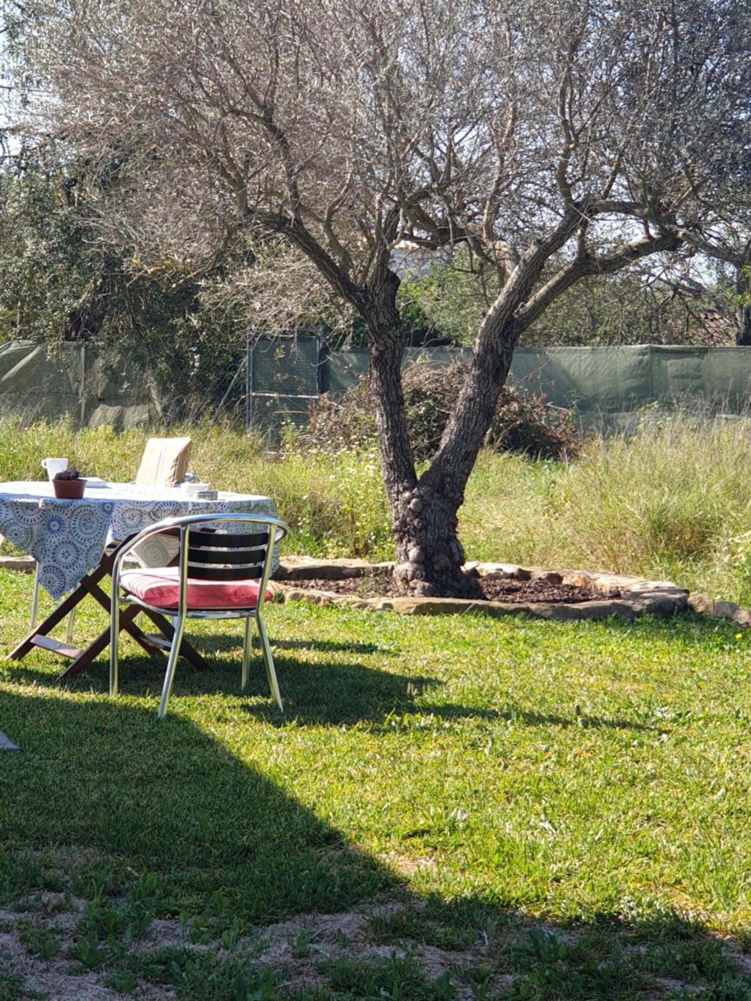 Farm stay Quinta Dos Cochichos