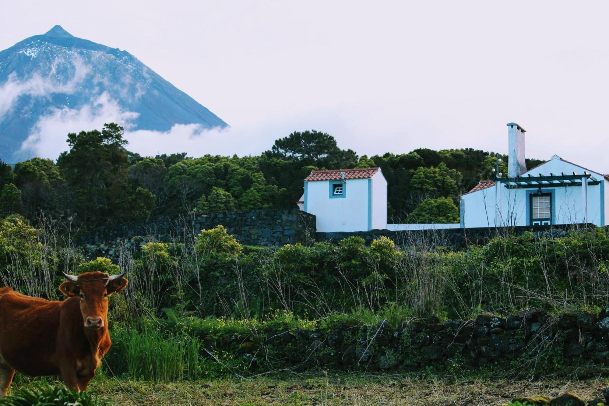 Casa Do Paim Holiday home *