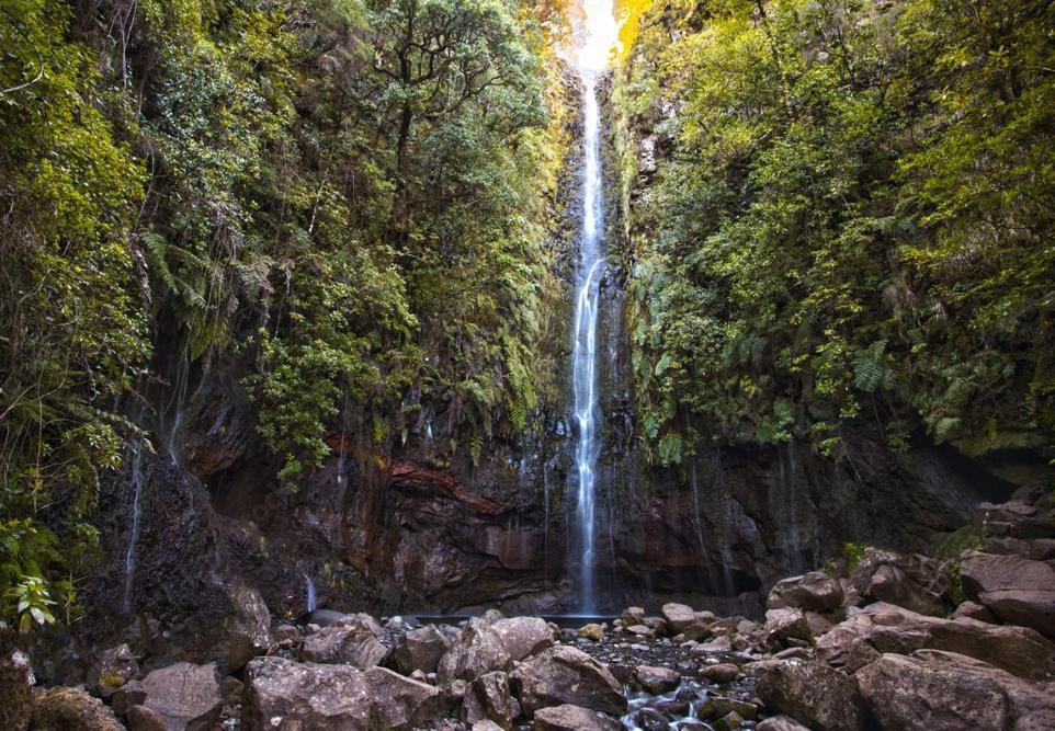 Holiday home Roraima House - Private Pool & Garden Calheta (Madeira)
