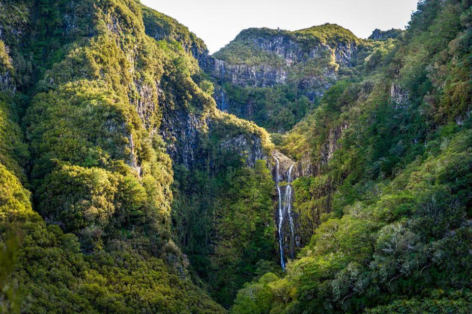 Roraima House - Private Pool & Garden Holiday home Calheta (Madeira)