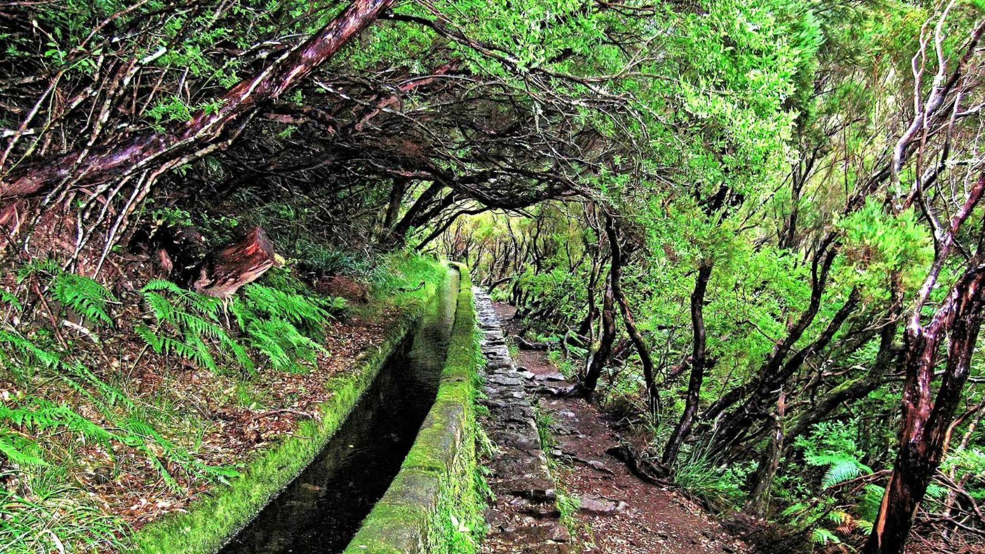Roraima House - Private Pool & Garden * Calheta (Madeira)