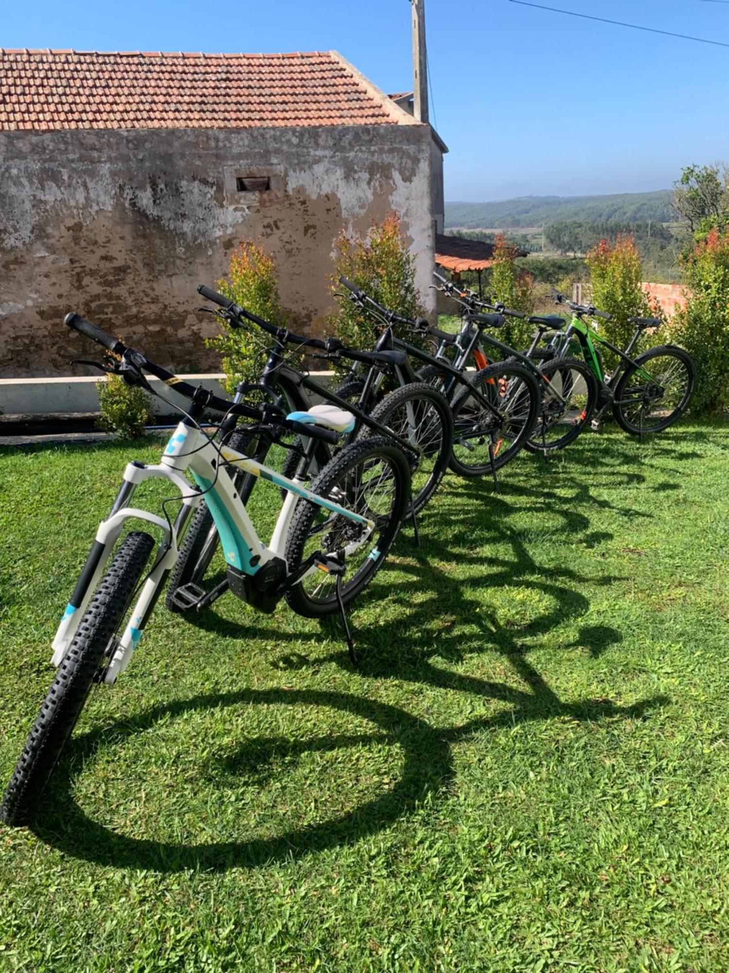 Bed & Breakfast Bedebike *