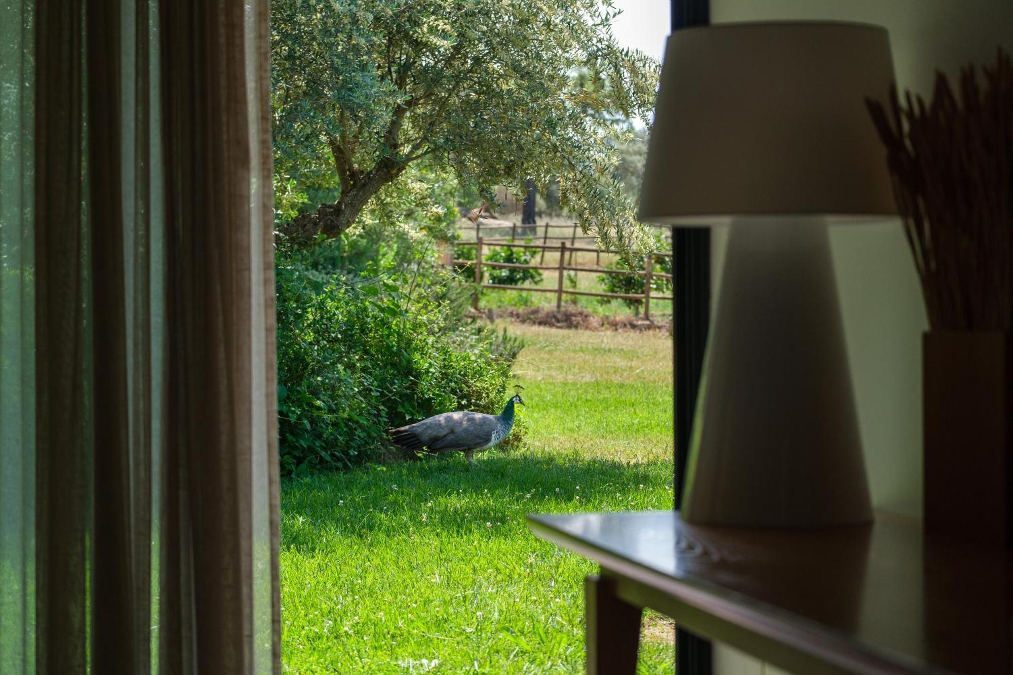 Herdade Da Cortesia Hotel Avis