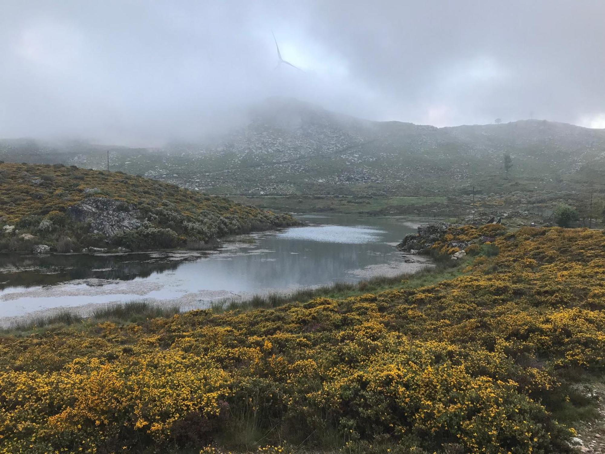 Da Garca São Pedro do Sul