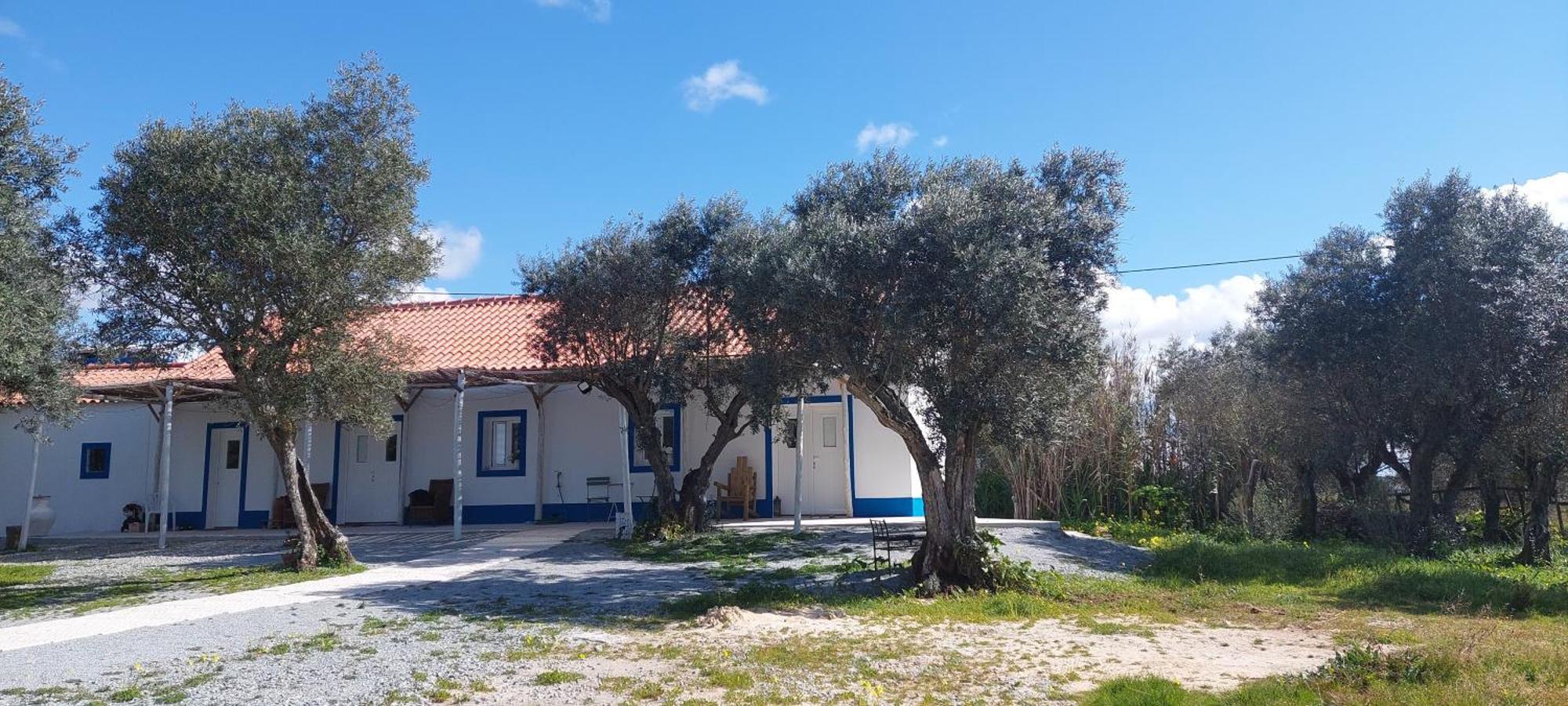 Vakantiehuis Monte Da Masmorra De Baixo-casa Alentejana Montemor-o-Novo
