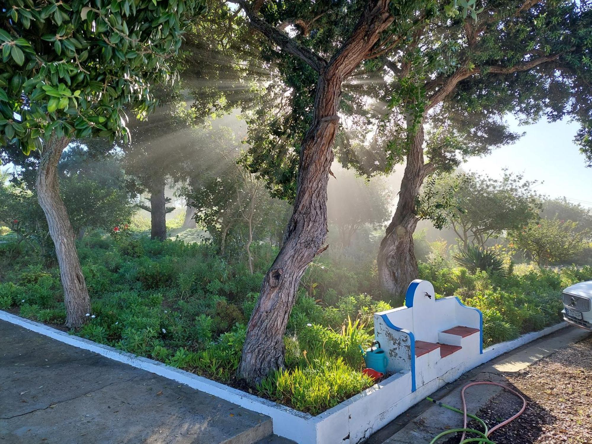 Herdade Amalia Rodrigues Guest house Zambujeira do Mar