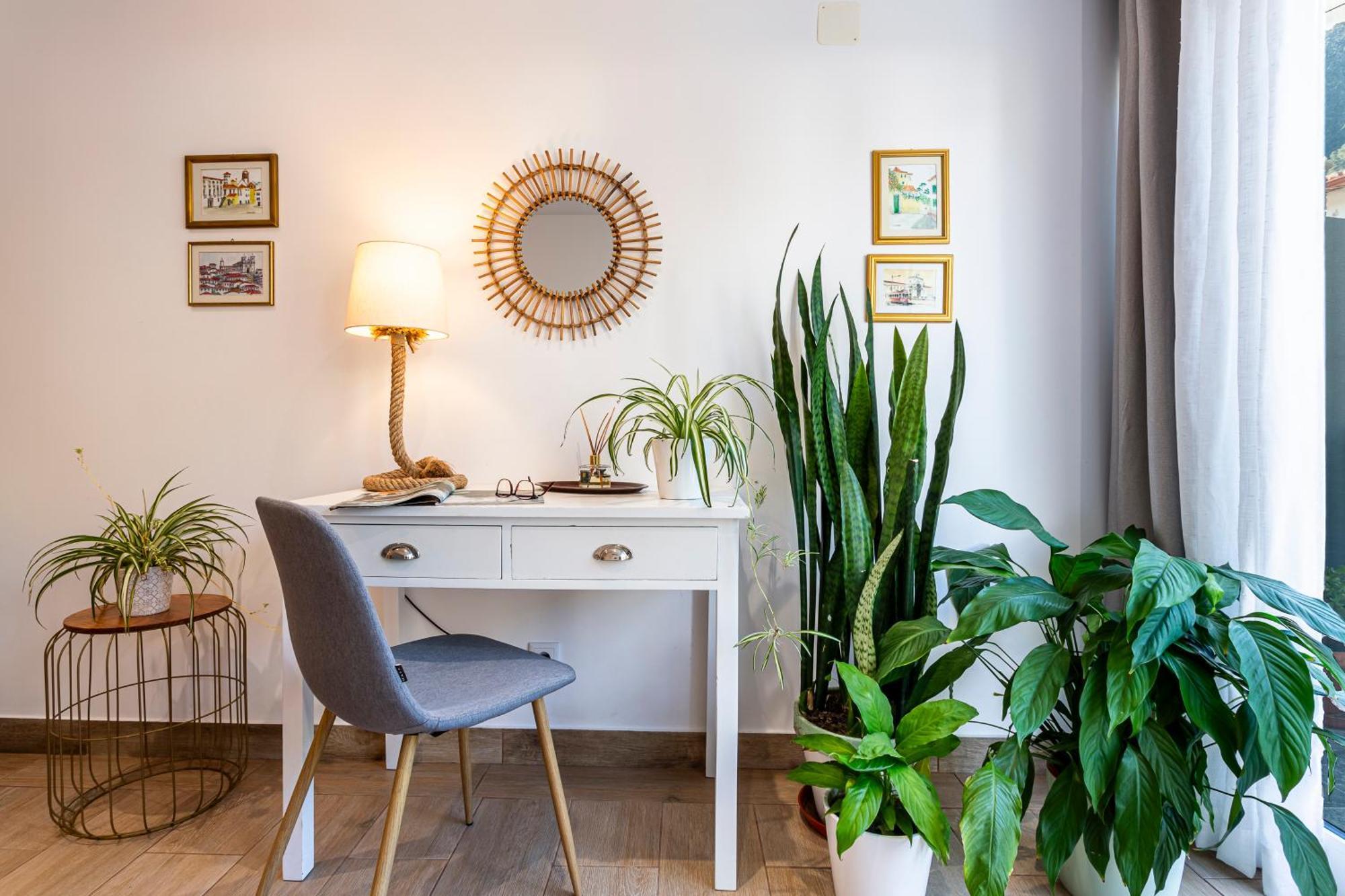 A Casa Da Tia Holiday home *