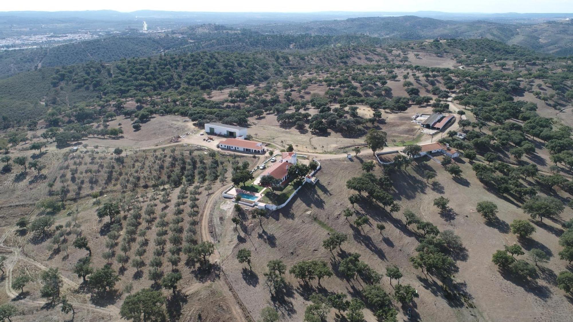 Herdade Vale De Cabras * Portel