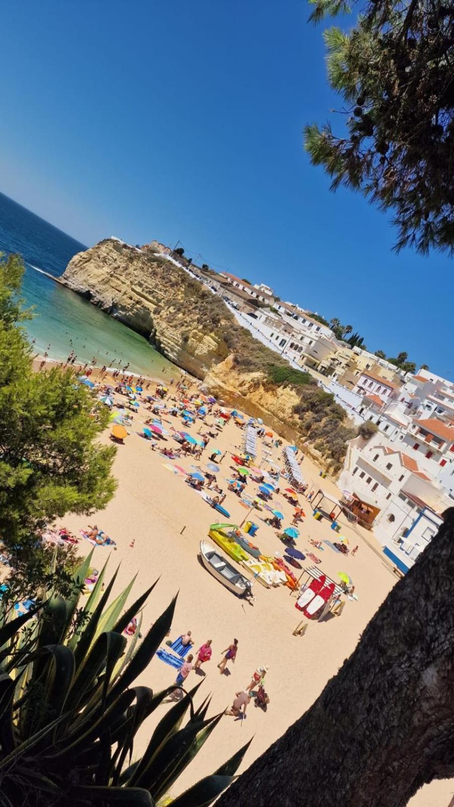 Carpe Diem * Carvoeiro (Lagoa)