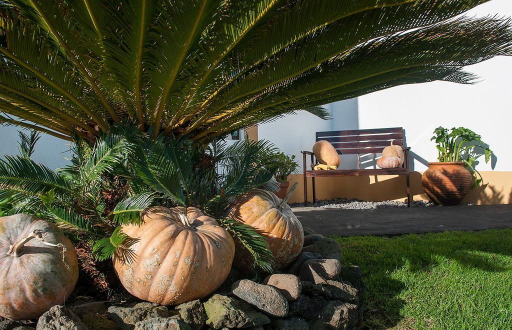 Bed & Breakfast Belgica Horta (Azores)