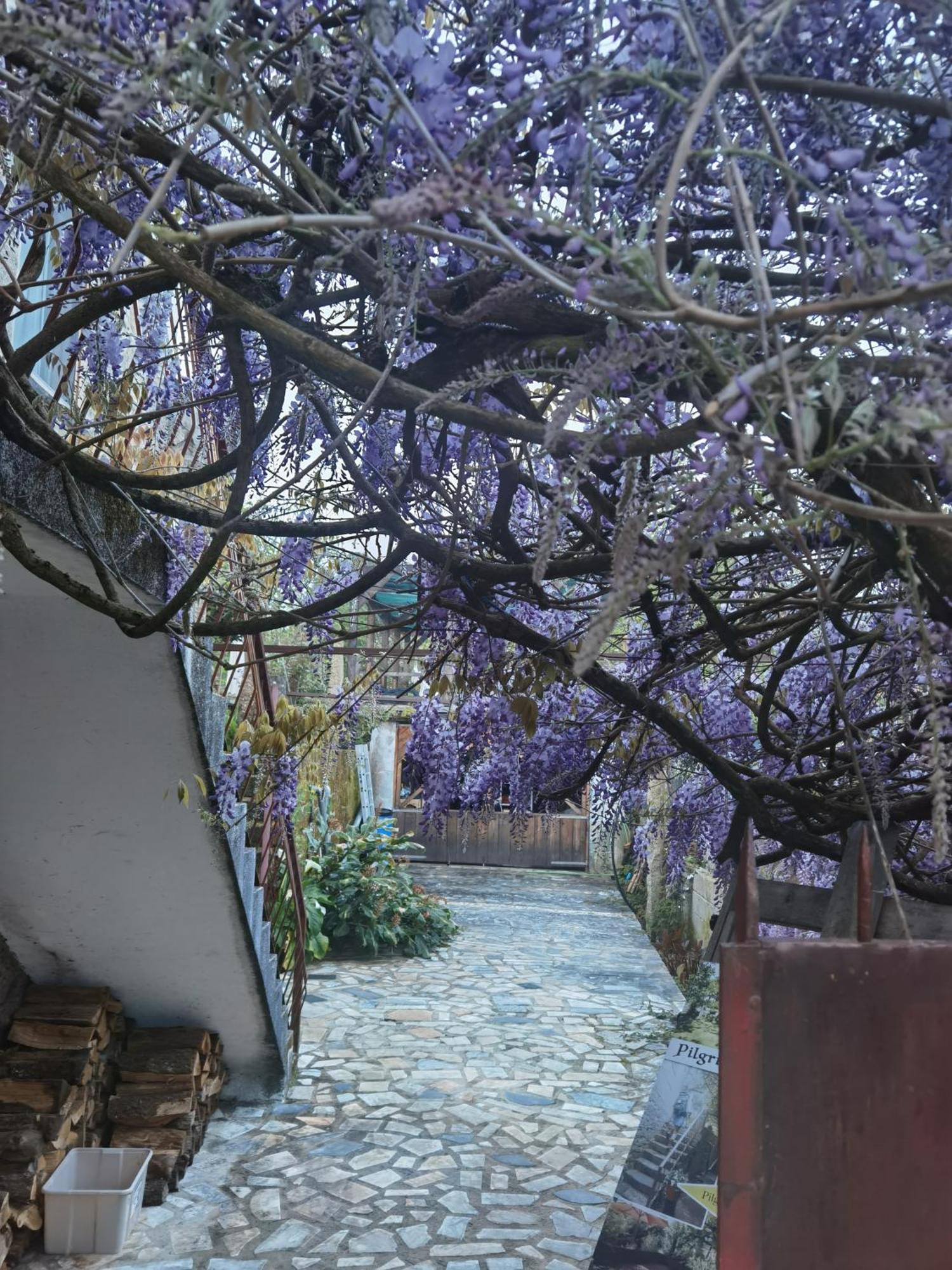 Pilgrims Rest - Nova De Cerveira - - - Al Hostel *
