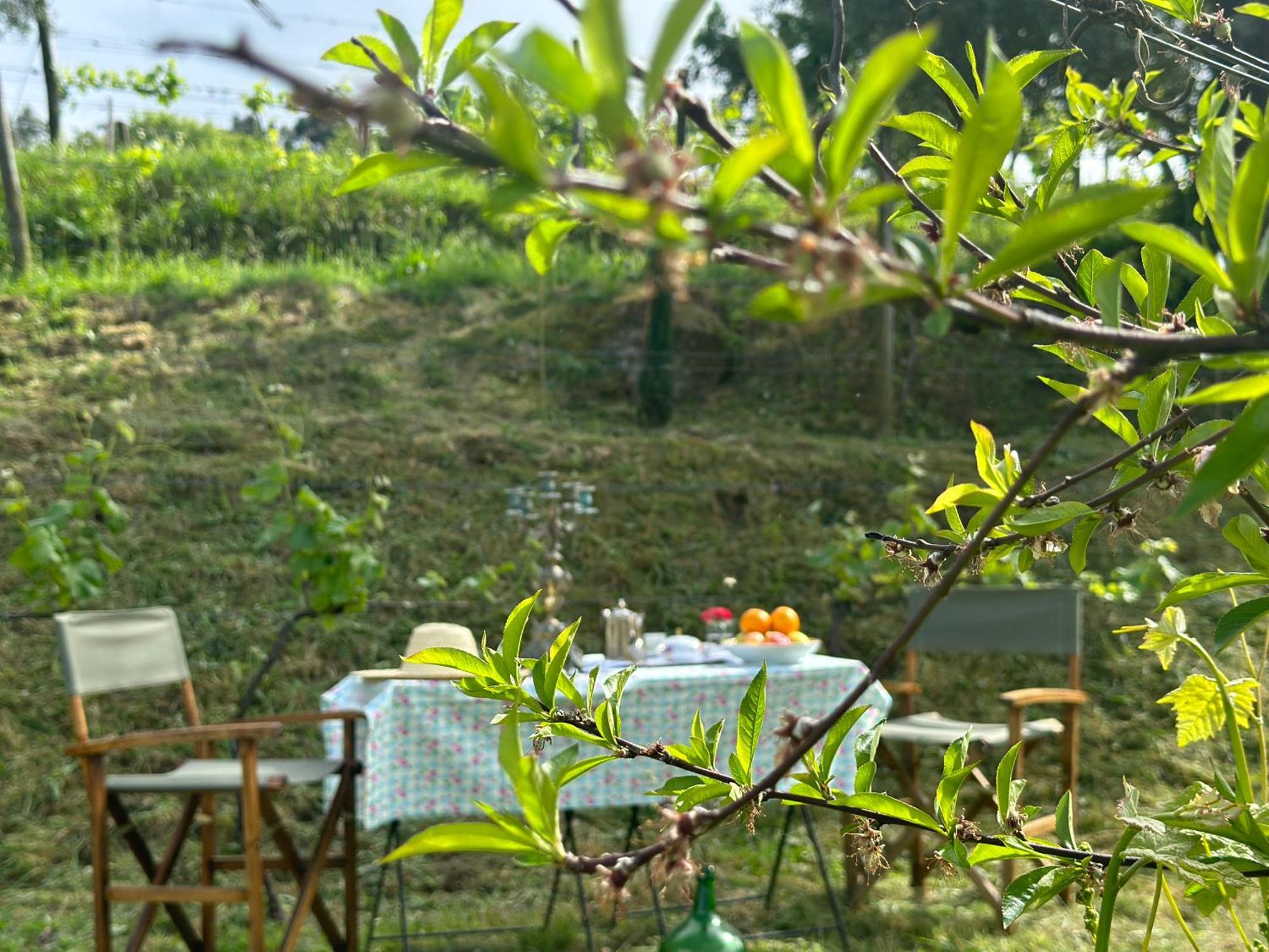Carmo's Boutique - Small Luxury Of The World 5*