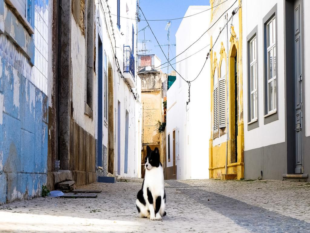 Holiday home Maison Citron Olhao