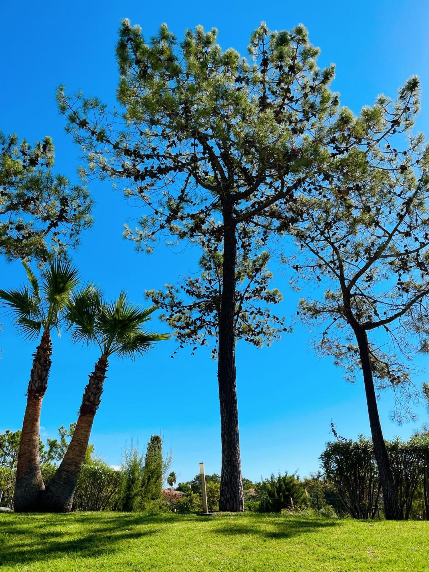 Scarlet's Place - 1 Bed Victory Village Quinta Do - Beach, Nature, Lakes