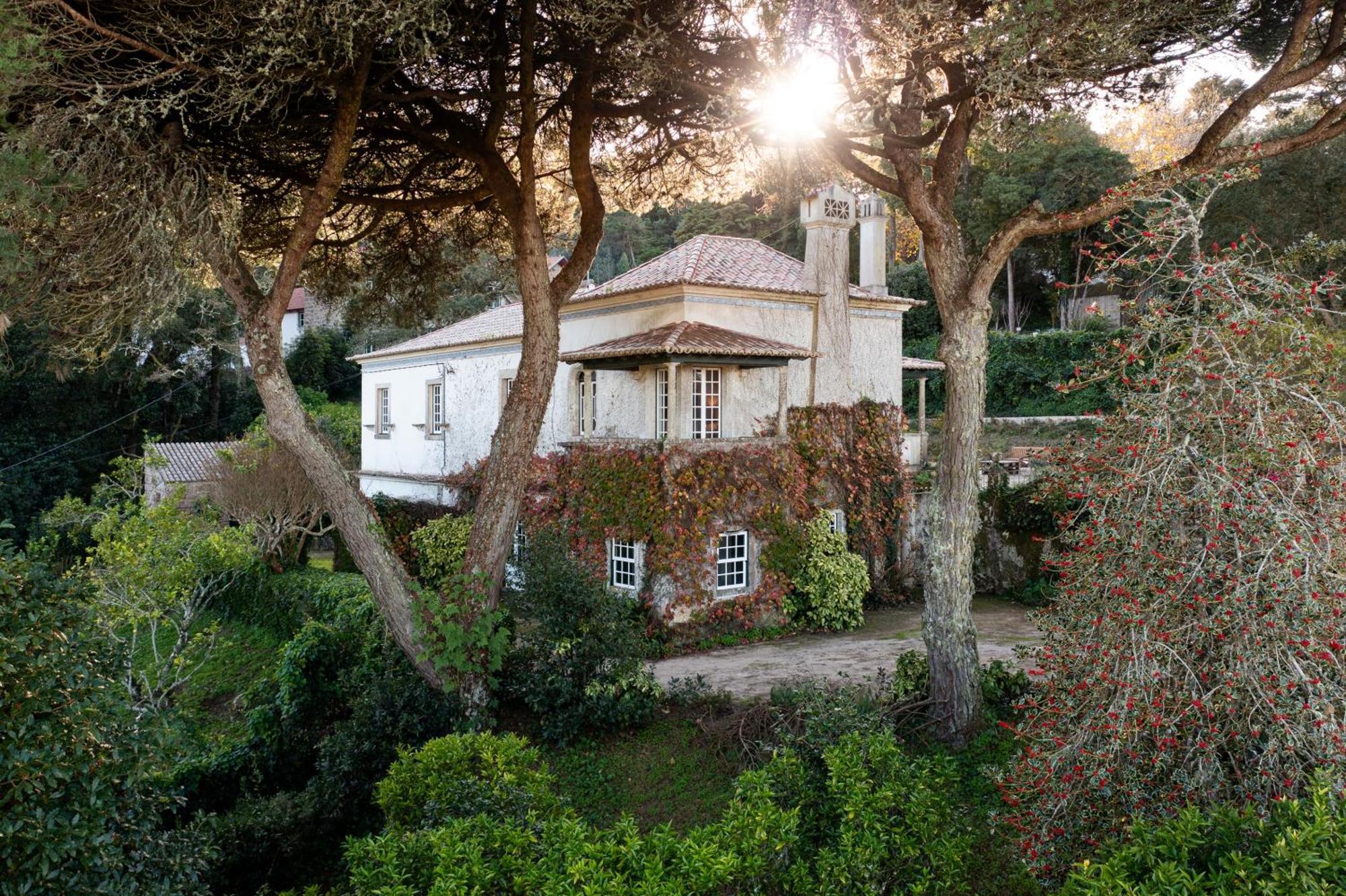 Chapeu De Sol -