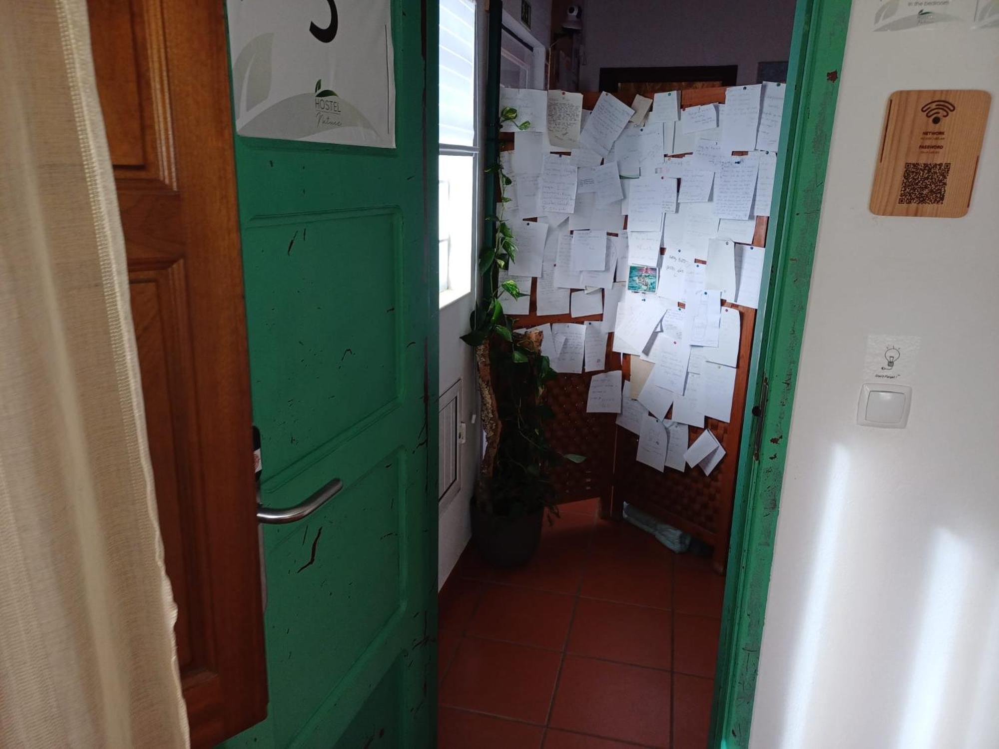 Nature Hostel *