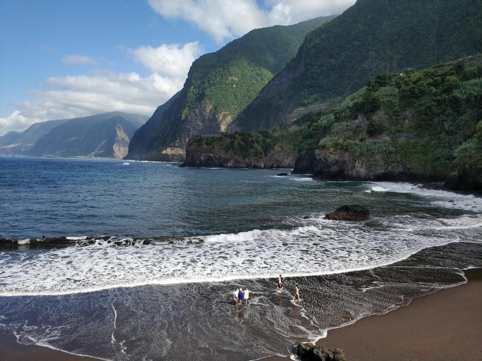 Lazy Lizard By The Ocean * Seixal (Madeira)