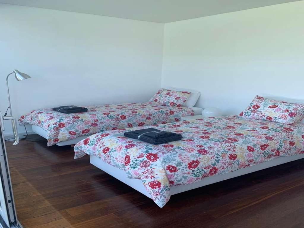 Villa Villa Violet Caminha Viana Do Castelo
