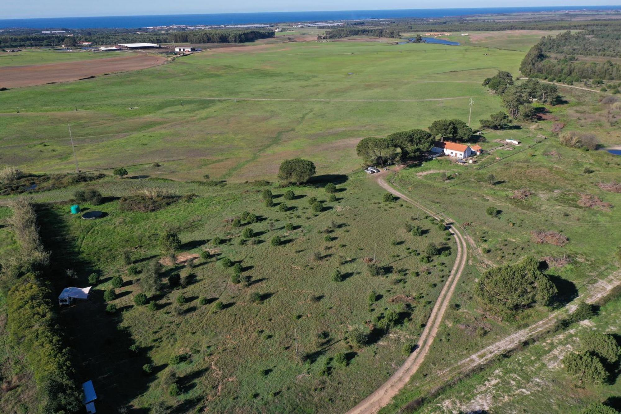 Monte Dos Vagabundos - Animal Sanctuary - Caravan Nest * São Teotónio