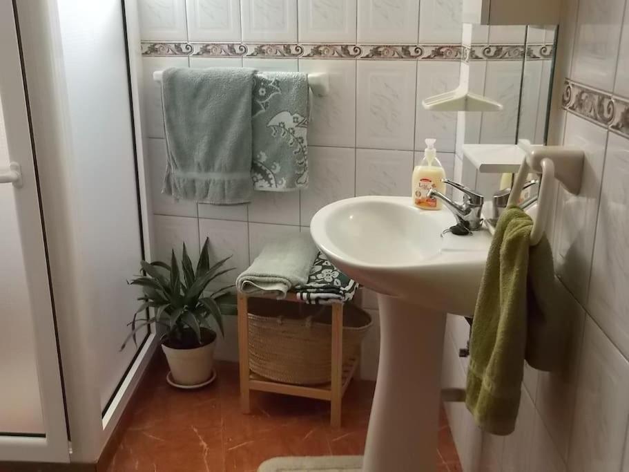 Casa Da Fonte Dos Castanheiros * Estreito Da Calheta