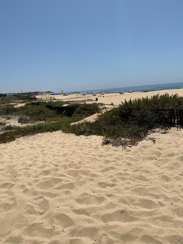 Porto Artemis Flat