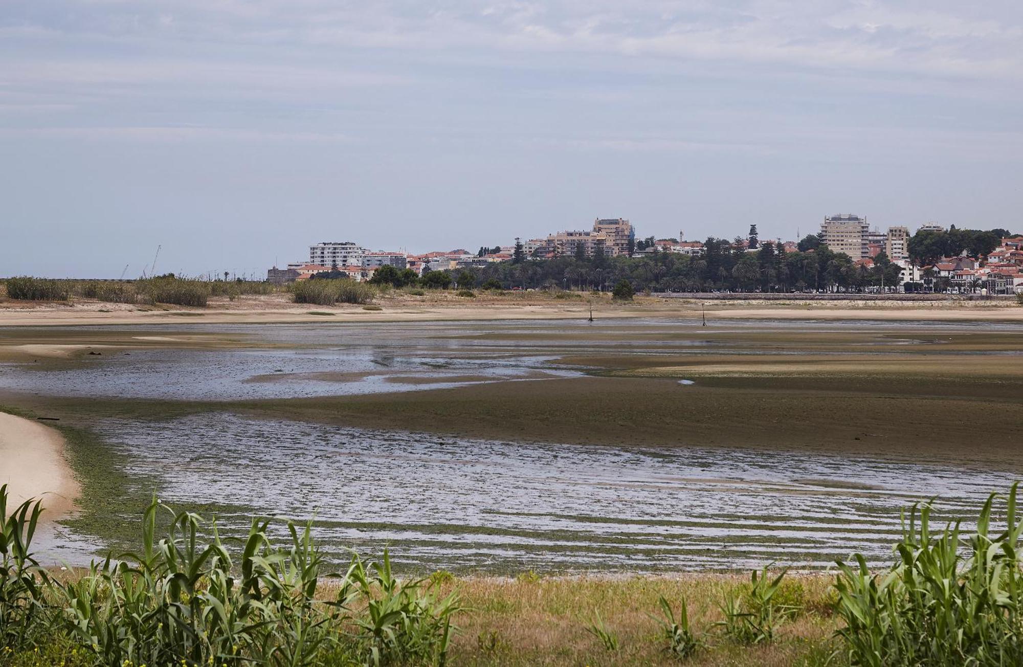 Porto Artemis Flat