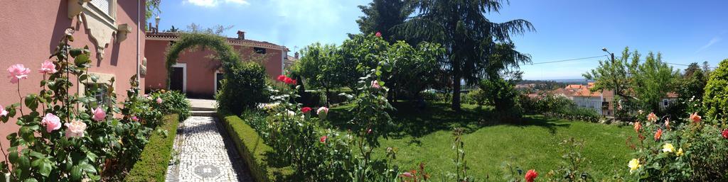 Alegre - Bussaco Boutique