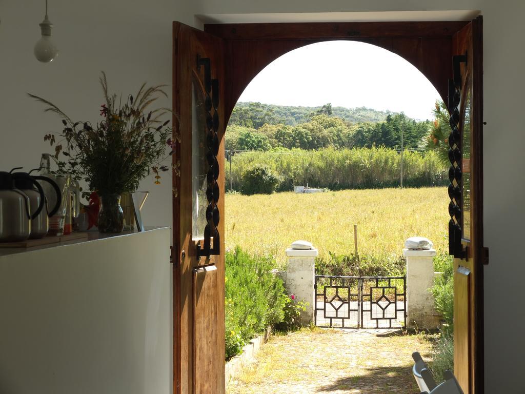 Cabeca Da Cabra Apartment
