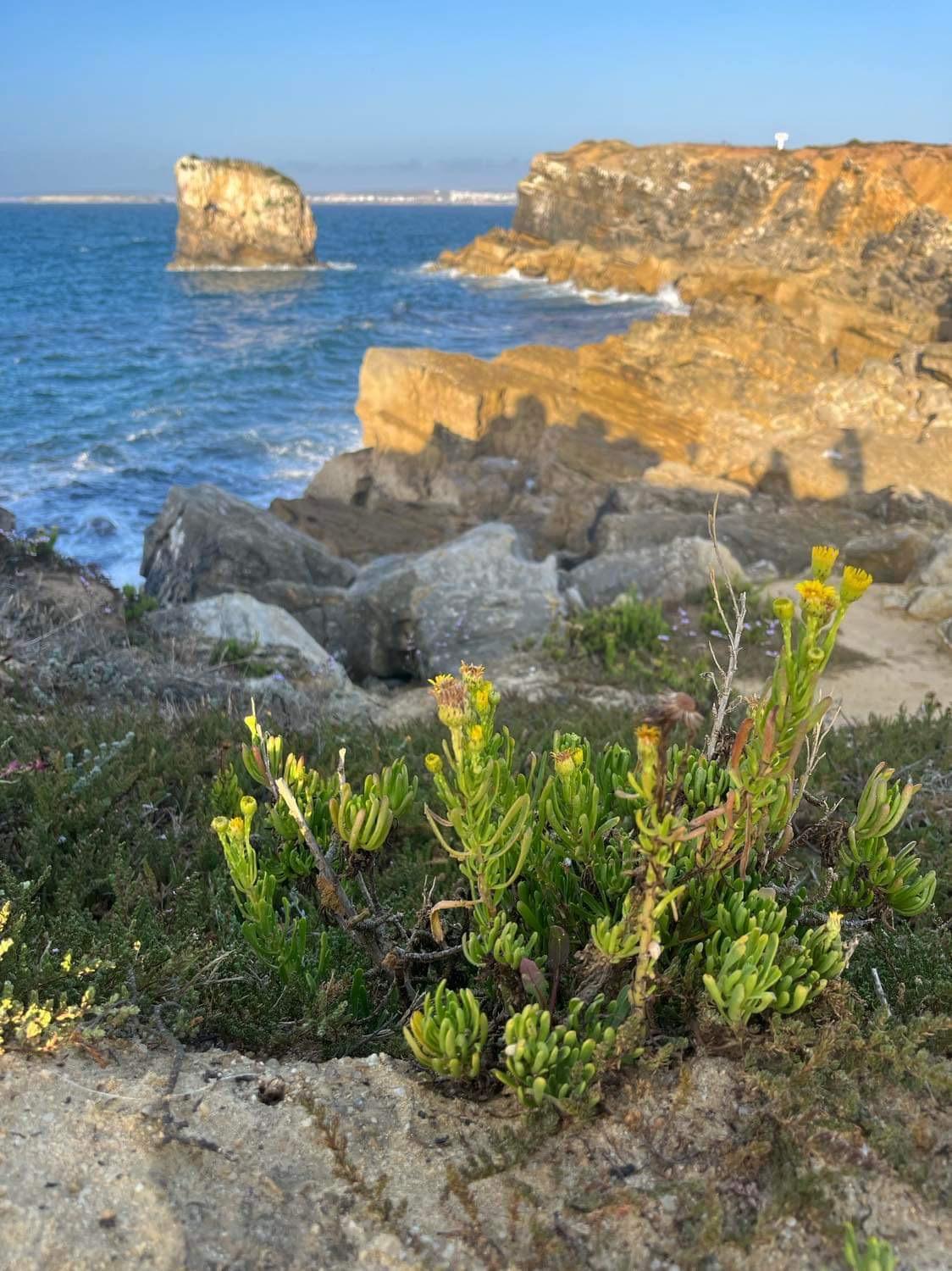 Peniche Hostel Hostel *