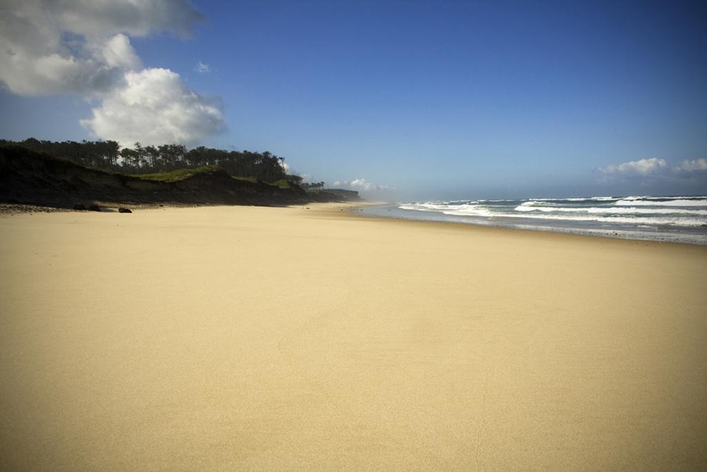 Watermark Surf House Hostel Ovar