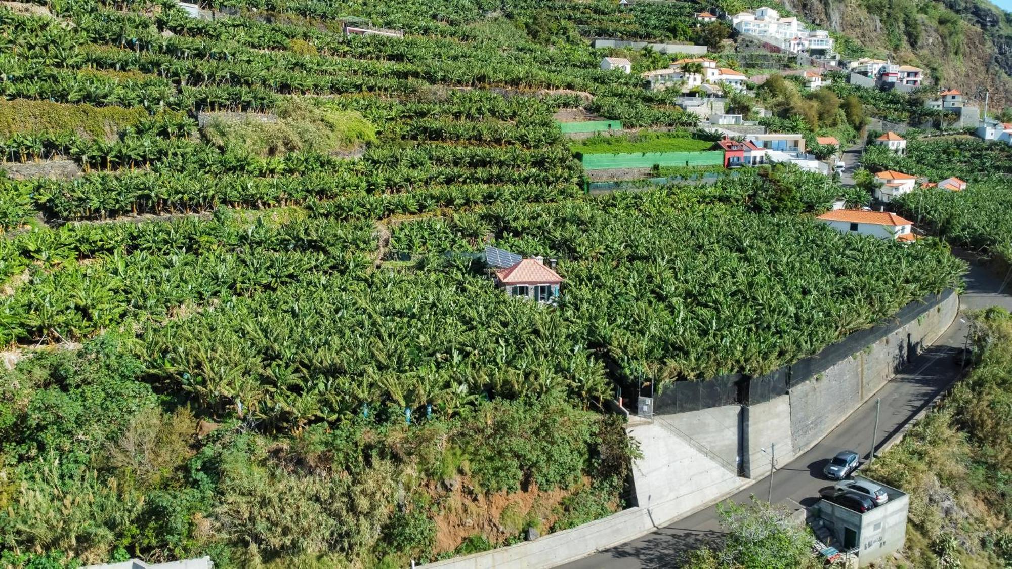 Casa Dos Anjos Holiday home