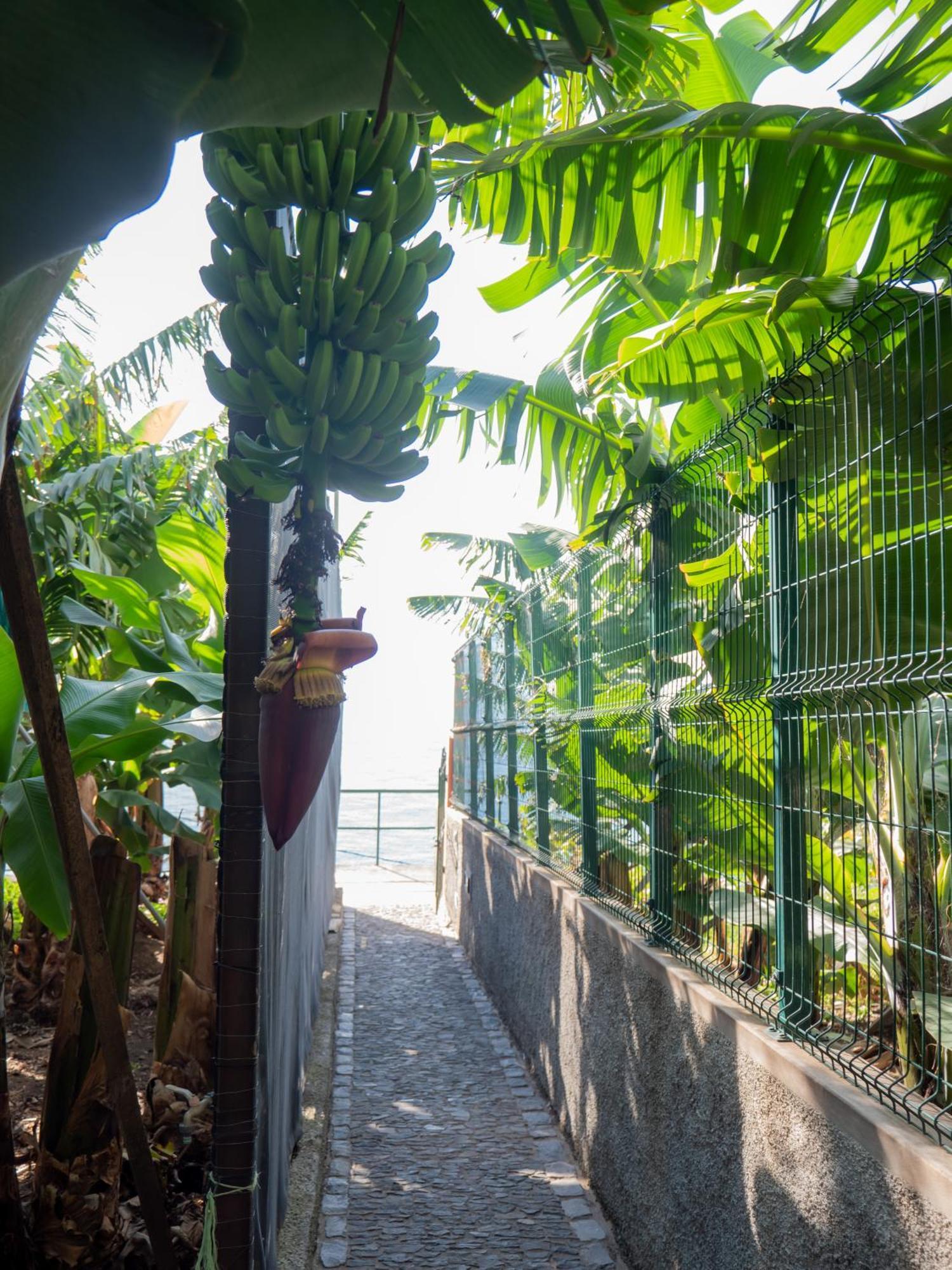 Casa Dos Anjos Сasa de vacaciones *