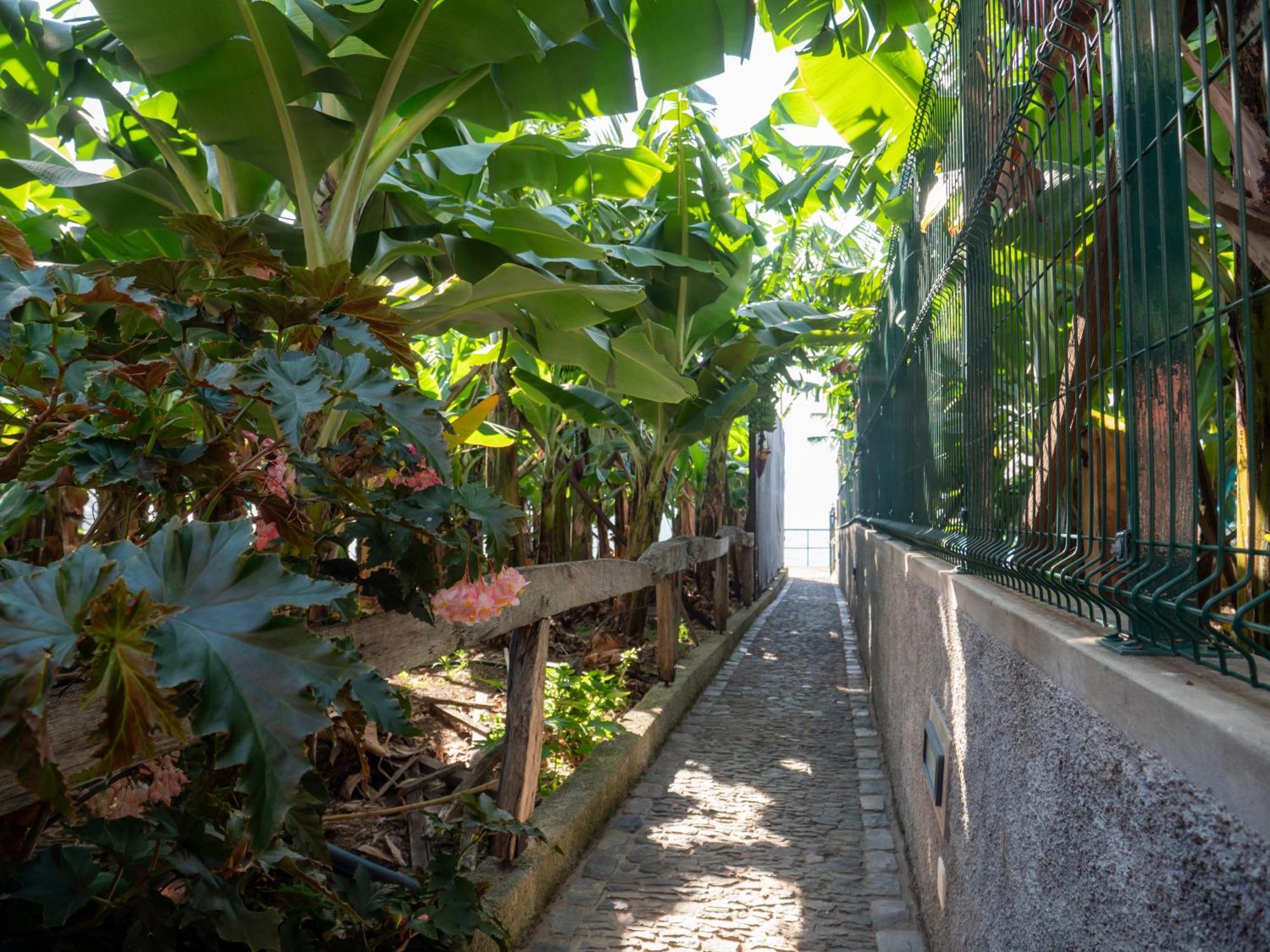 Сasa de vacaciones Casa Dos Anjos