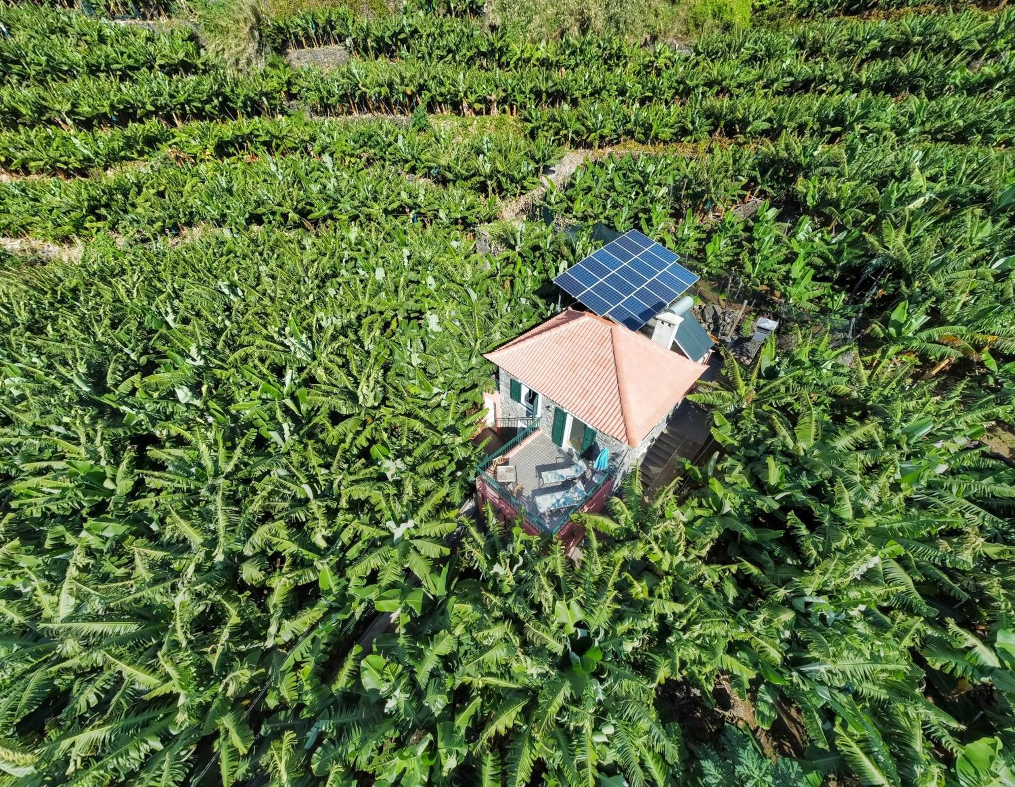 Сasa de vacaciones Casa Dos Anjos Ponta do Sol (Madeira)