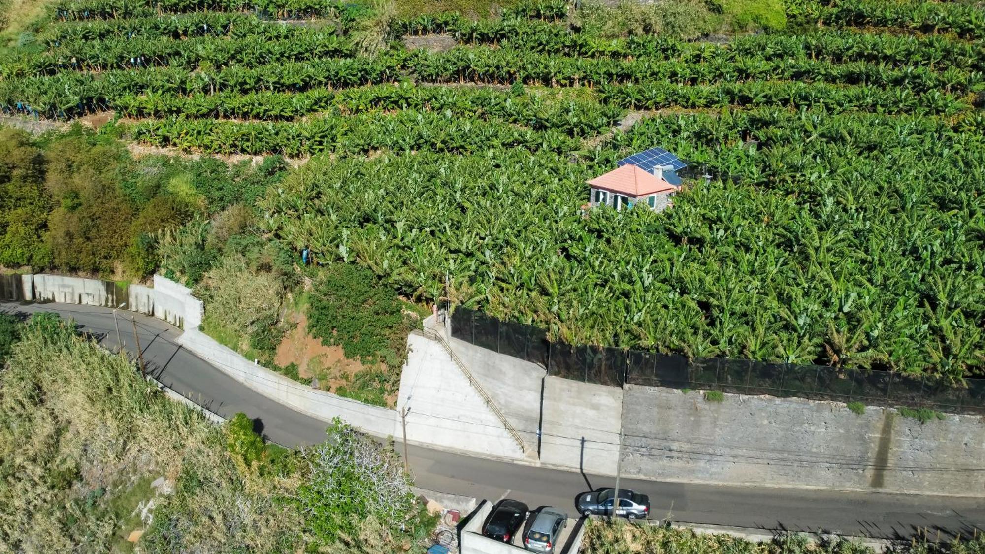 Casa Dos Anjos * Ponta do Sol (Madeira)
