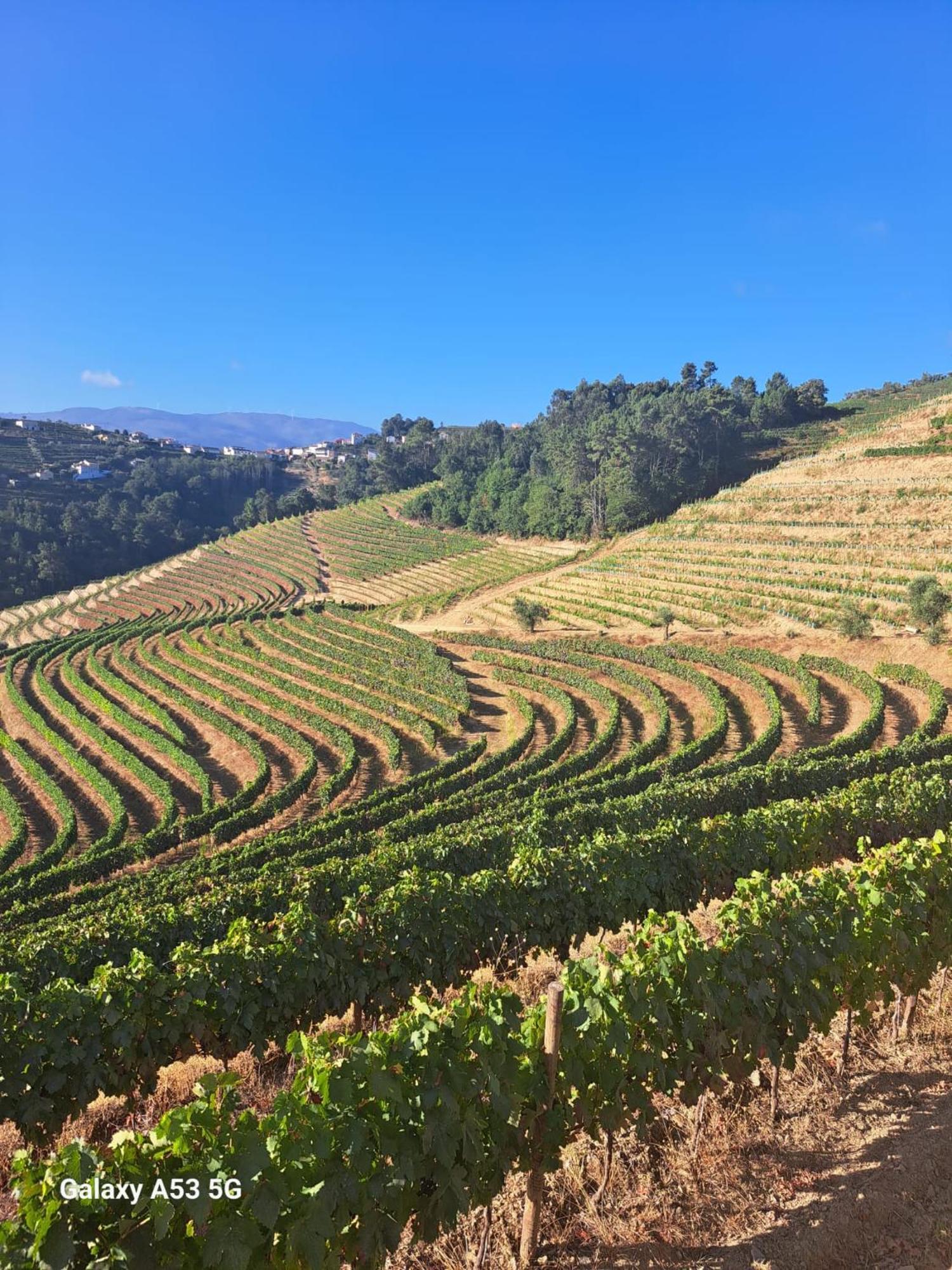 Quinta Da Portelada *