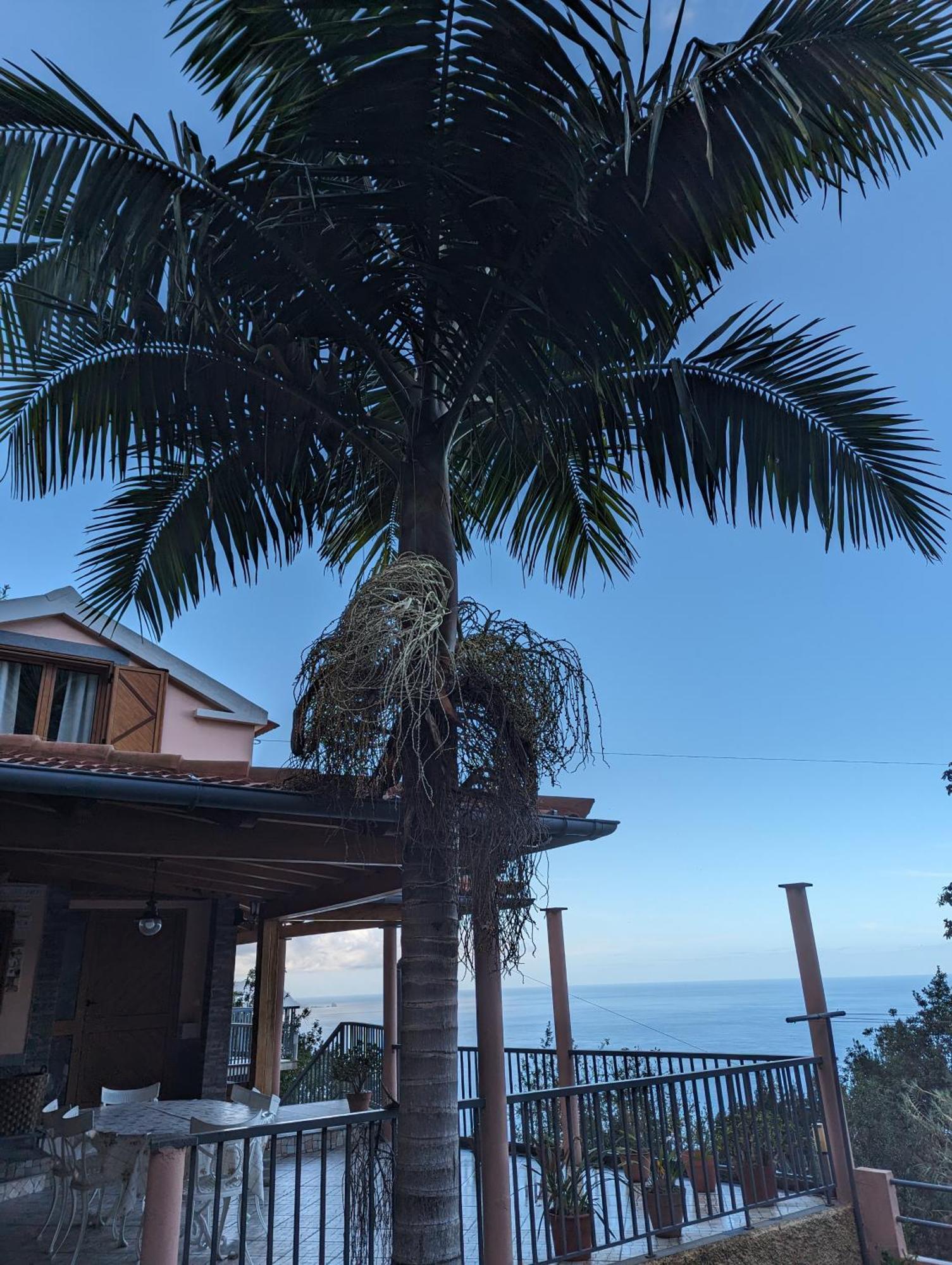 Fantatic House Holiday home Ponta Delgada (Madeira)