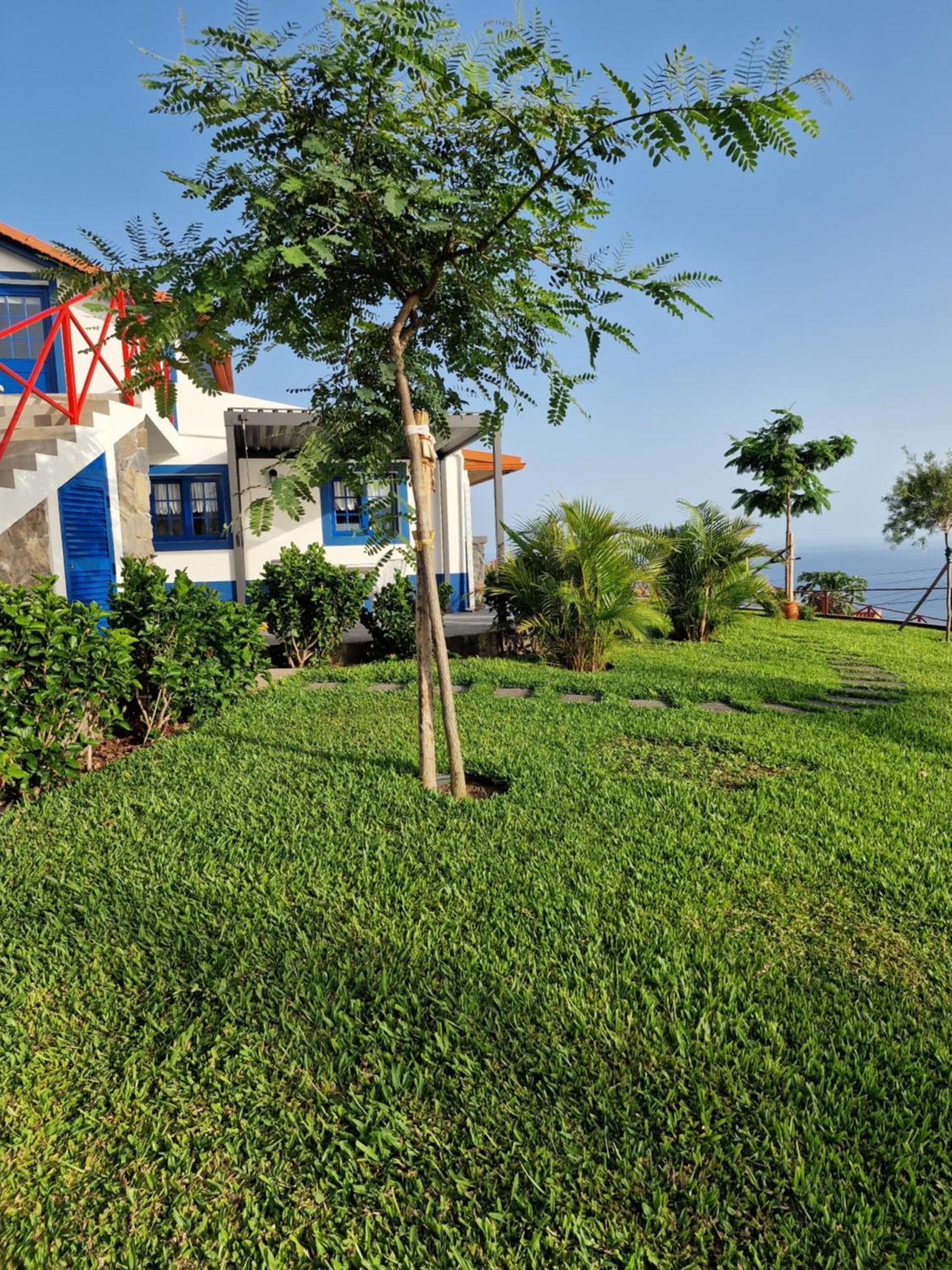 Casa Dinastia Sotao Y Casa Dinastia Miramar Homestay Ribeira Brava