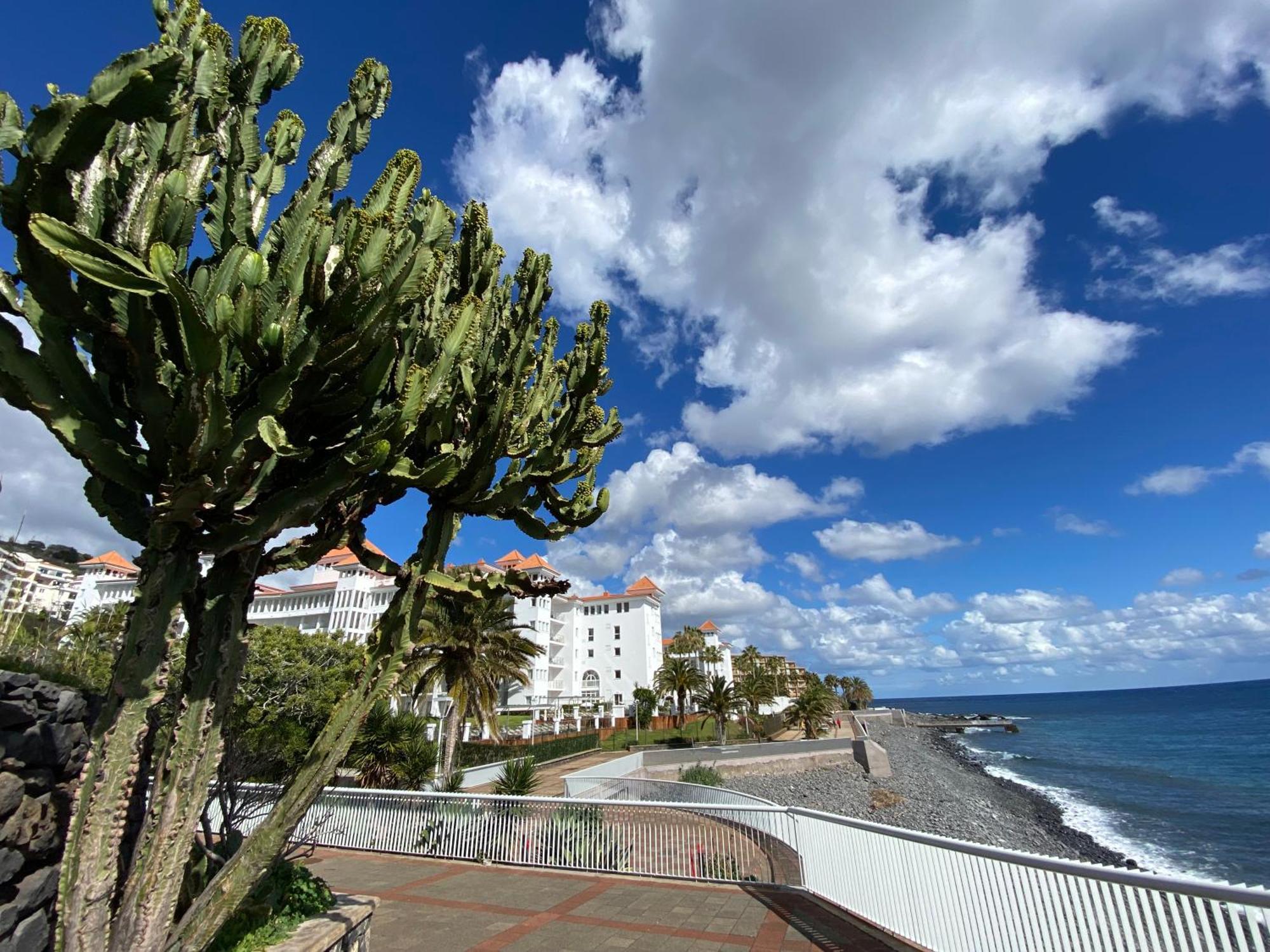 Luxurious Penthouse Direct At Sea * Canico (Madeira)