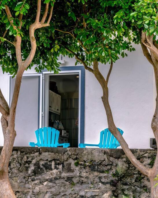 Center, 200 Meters To Marina, Walk To Everything, Private Yard And Garden * Ponta Delgada (Sao Miguel)