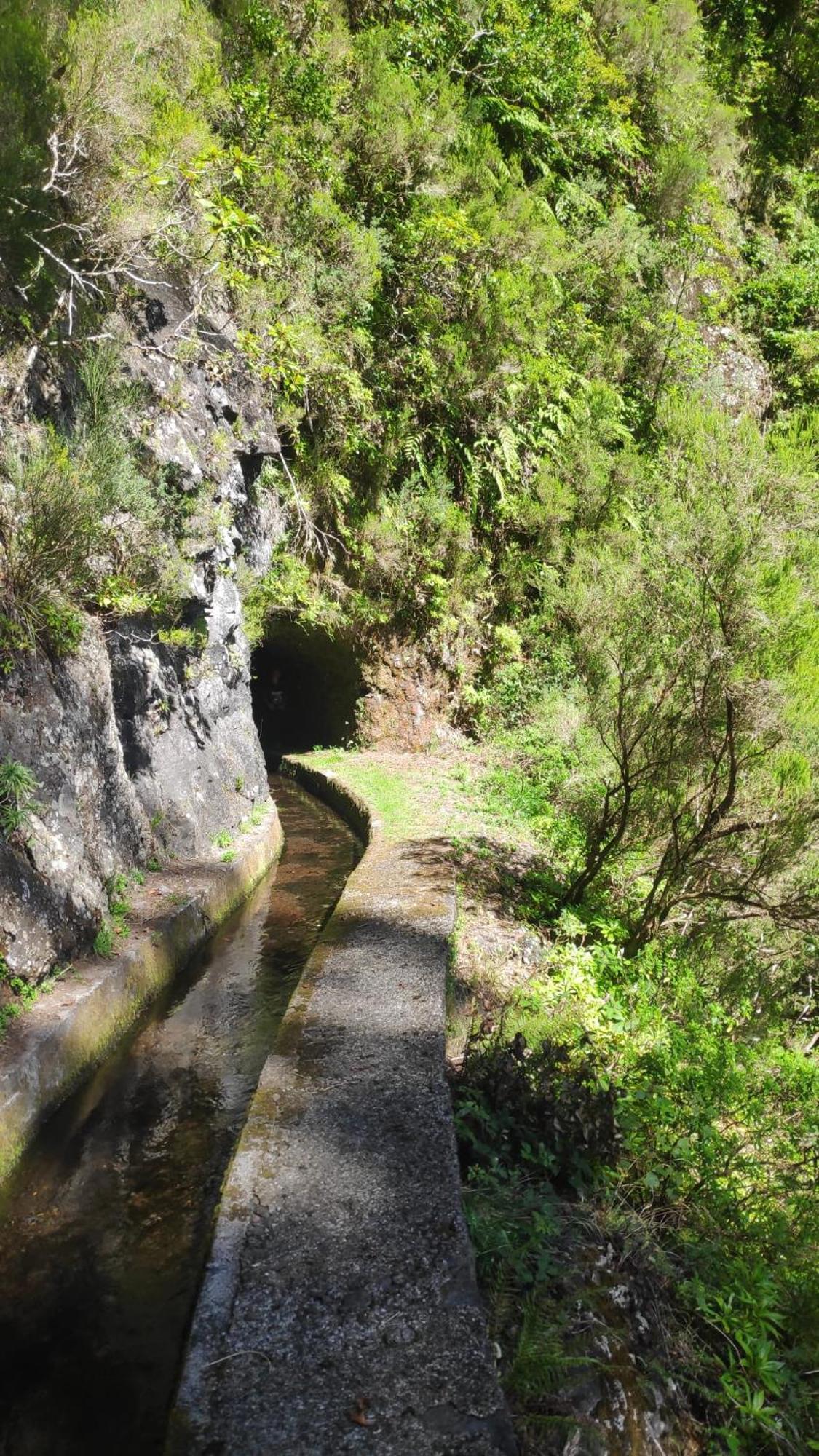Desertas View * Machico (Madeira)