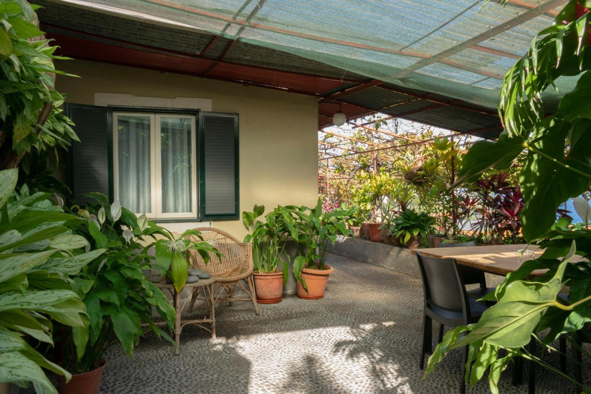 Casa Do Boto *
