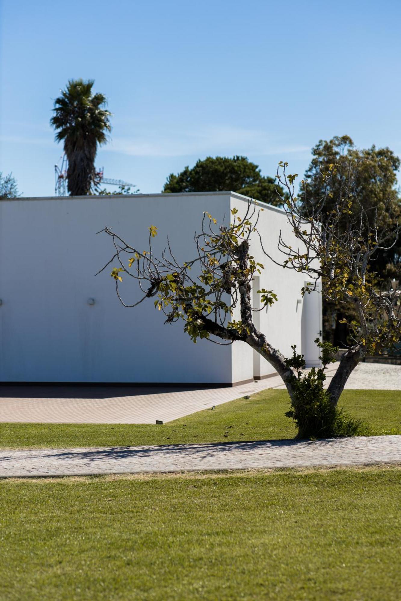 Quinta D'anta- Rural 3* Maiorca