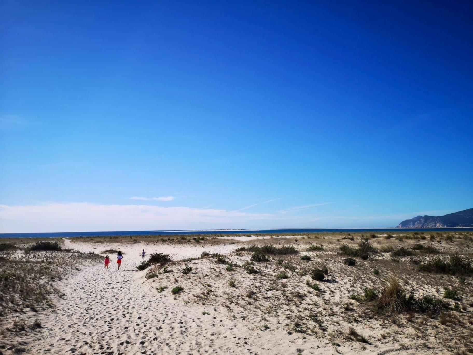 Holiday home Casa Do Mar - Sea View House - Comporta *