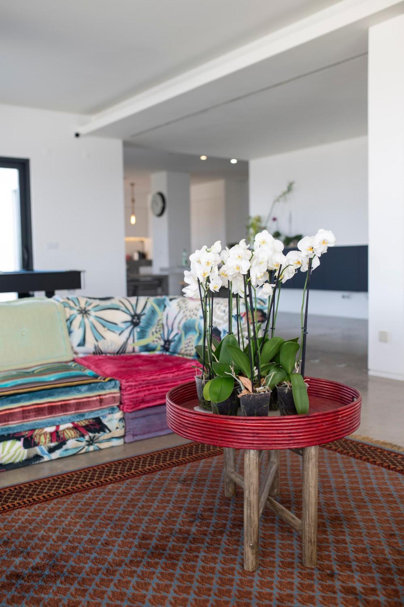 Casa Bica Vista Boutique Lourinha (Lisbon)