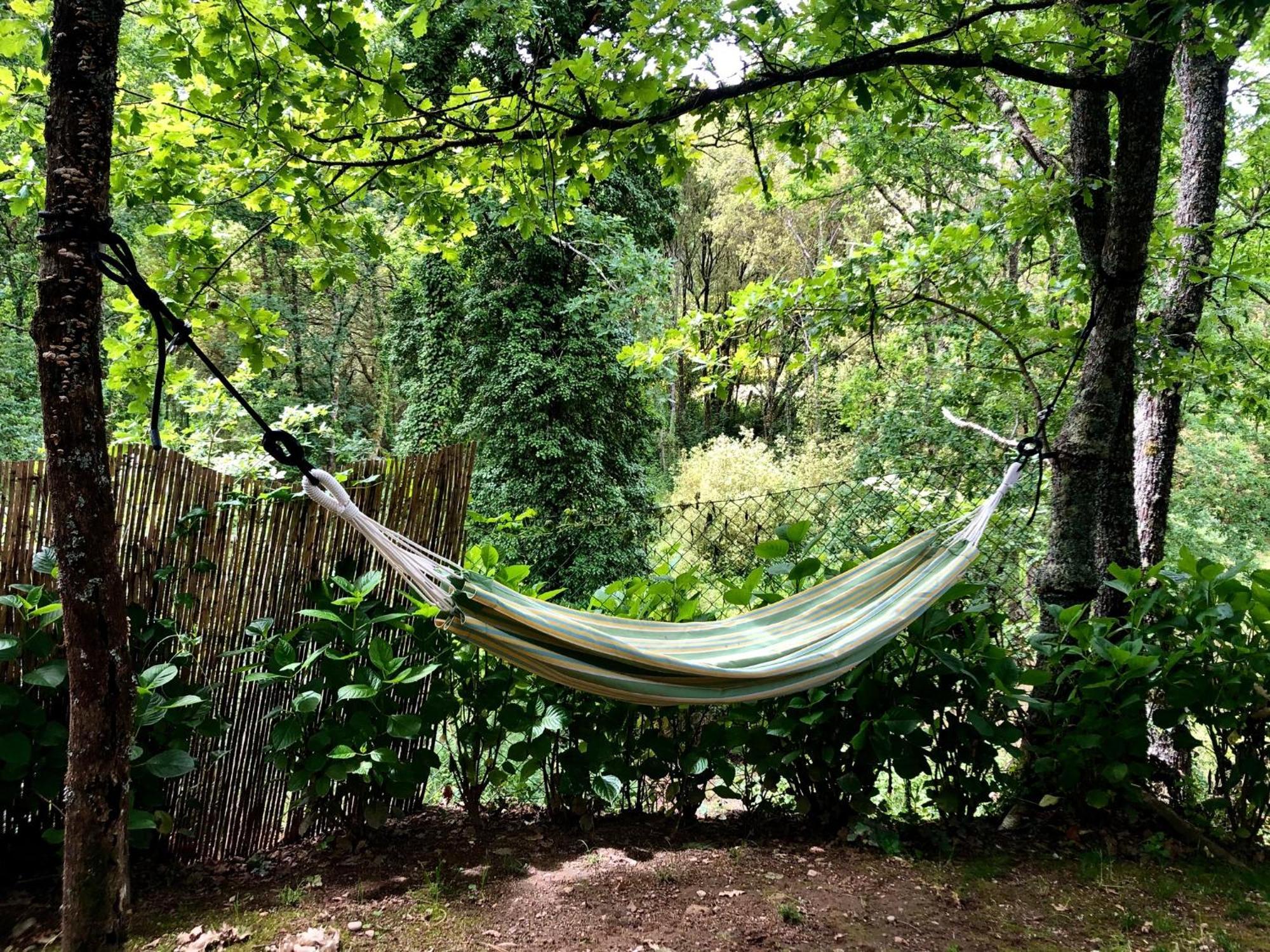 Quinta Lamosa Farm stay *