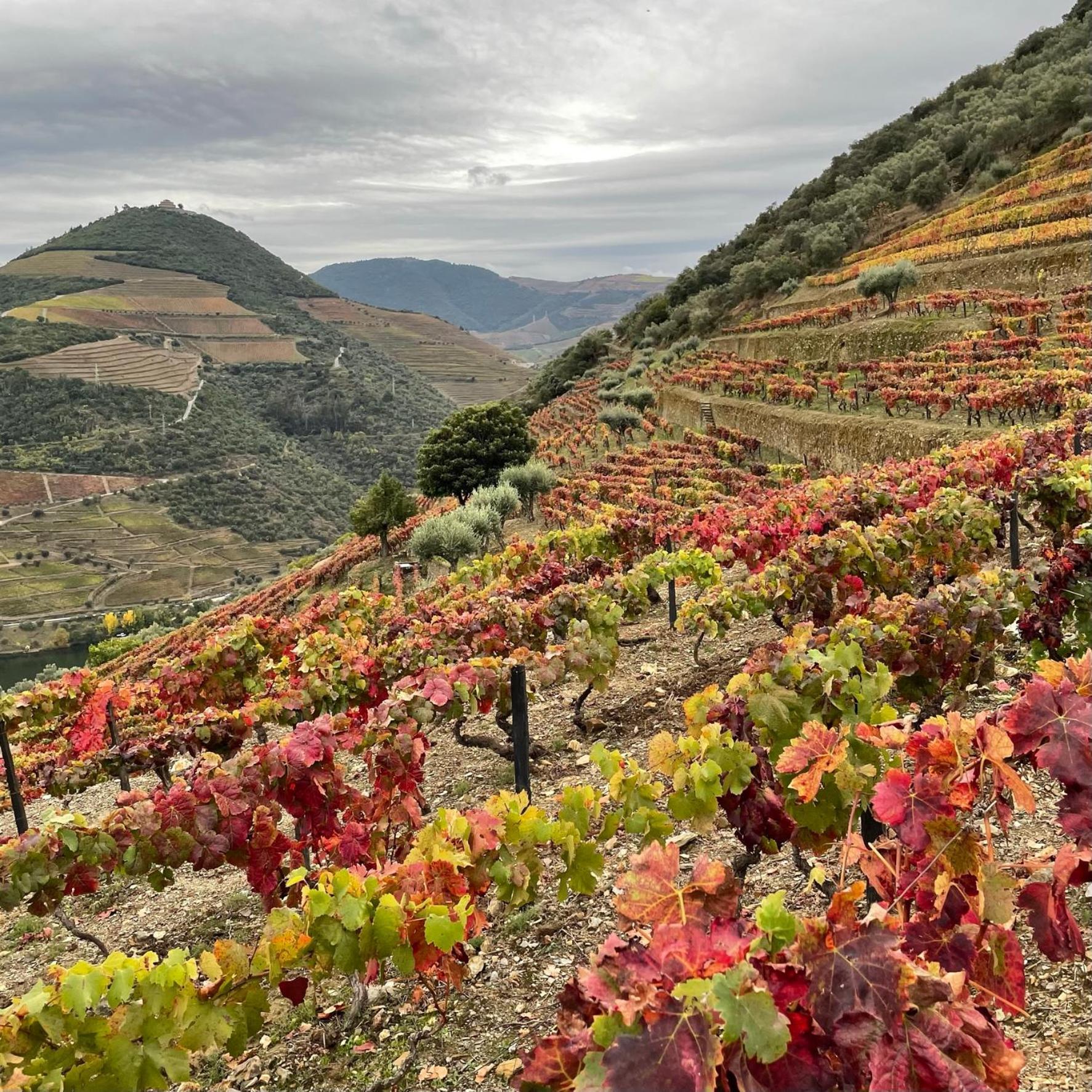 Douro Backpackers * Pinhao