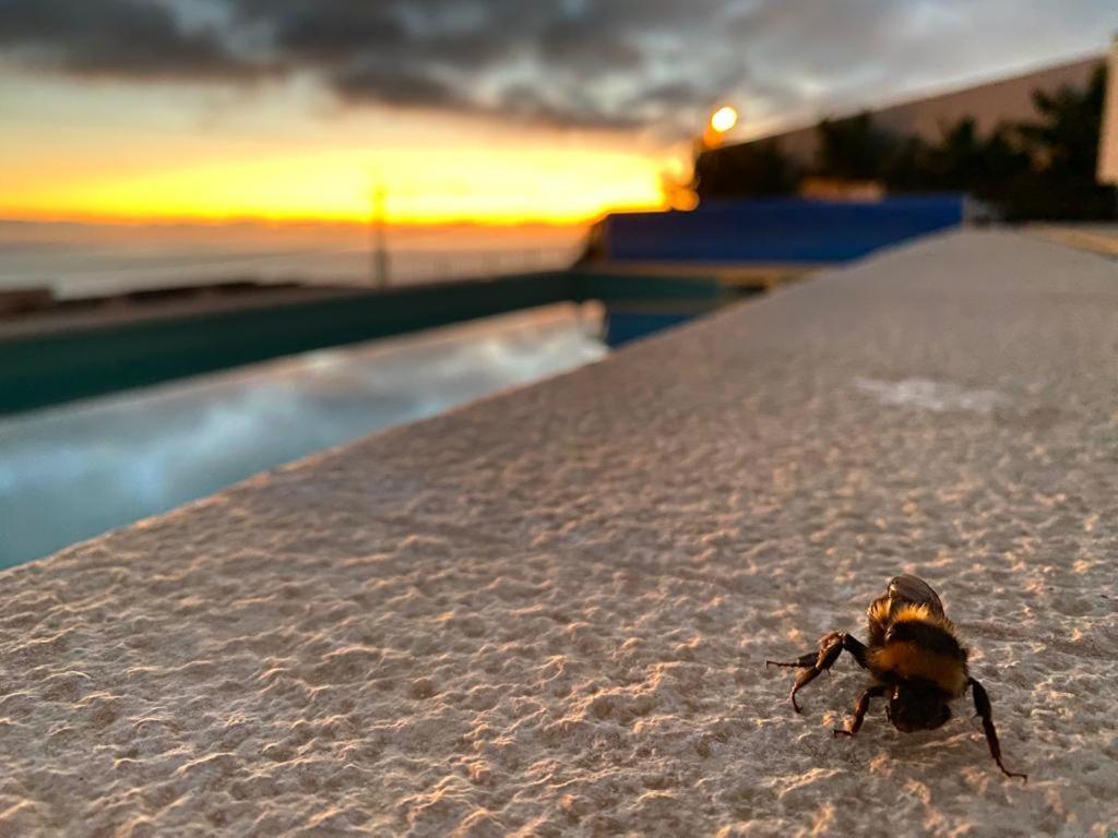 Villa Sundowner Prazeres
